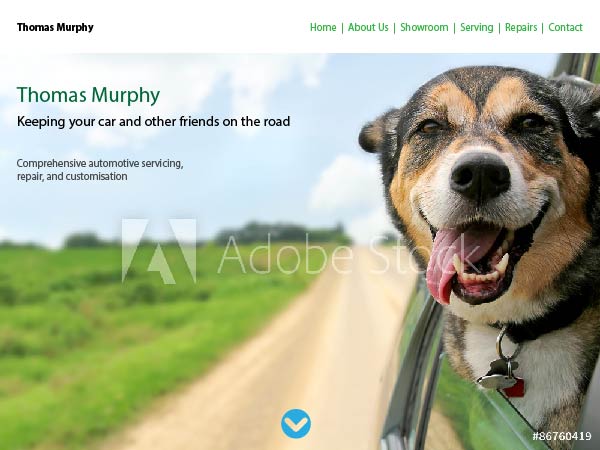 homepage wireframe with happy dog sticking head out of a moving car window